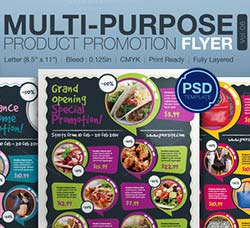 通用型产品推广传单模板：Multipurpose Product Promotion Flyer